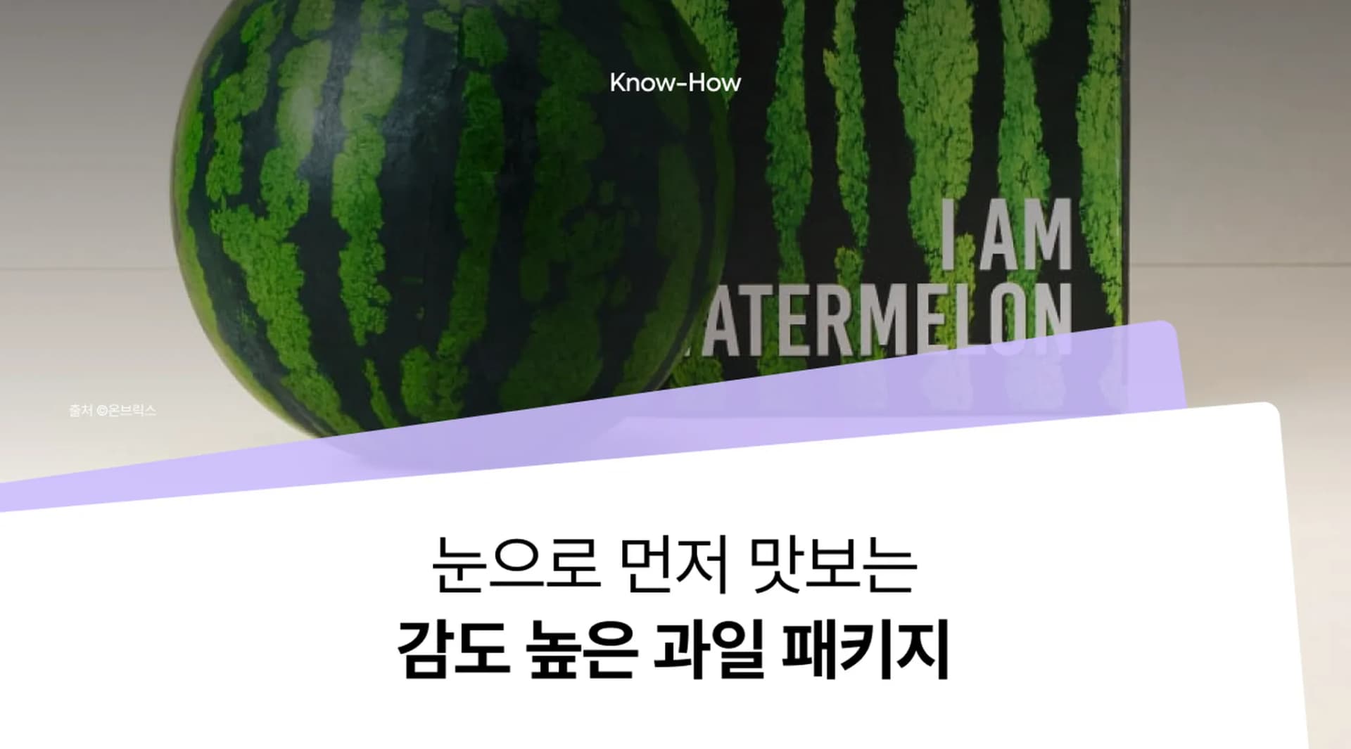 과일포장박스 제작, 패키지 디자인과 배송 안정성을 모두 고려하세요!