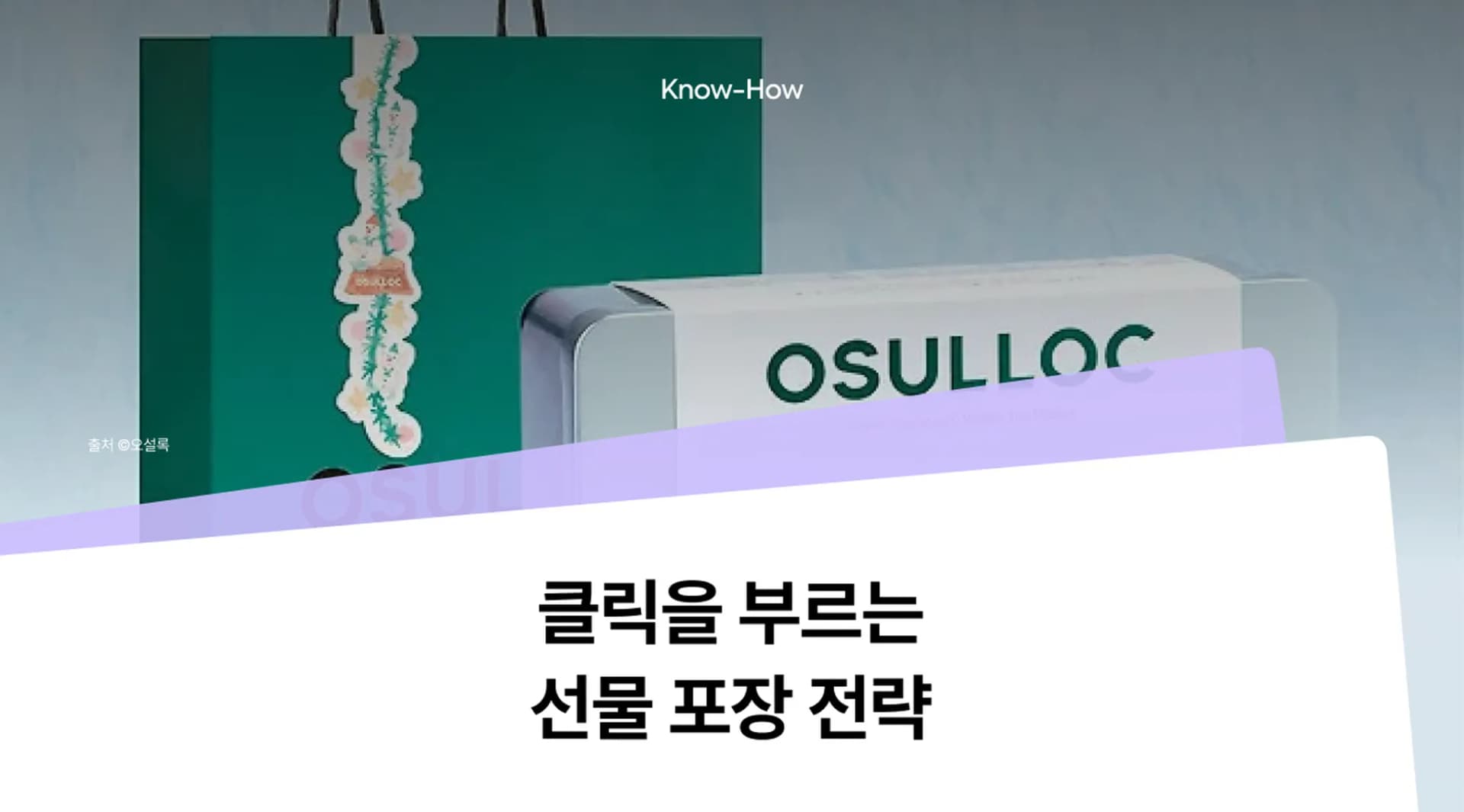 쇼핑백 제작 : 클릭을 부르는 선물 포장 전략