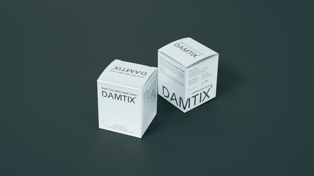 담틱스 x 팩토스퀘어