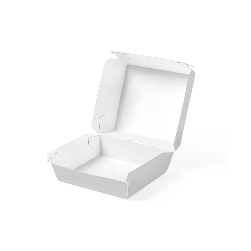 Picture of the sample