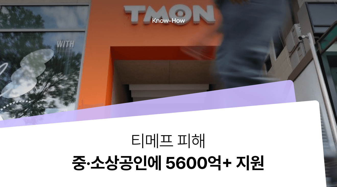 E-commerce Problems Revealed by the TMON-WEMAKEPRICE Crisis and Government Support Measures