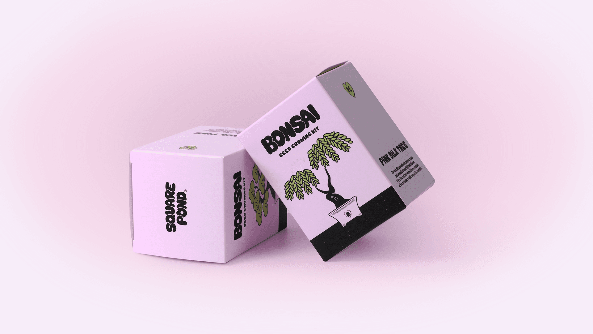 Plant Packaging Box Prototype Review <Squrepond> Companion Plant Kit Package