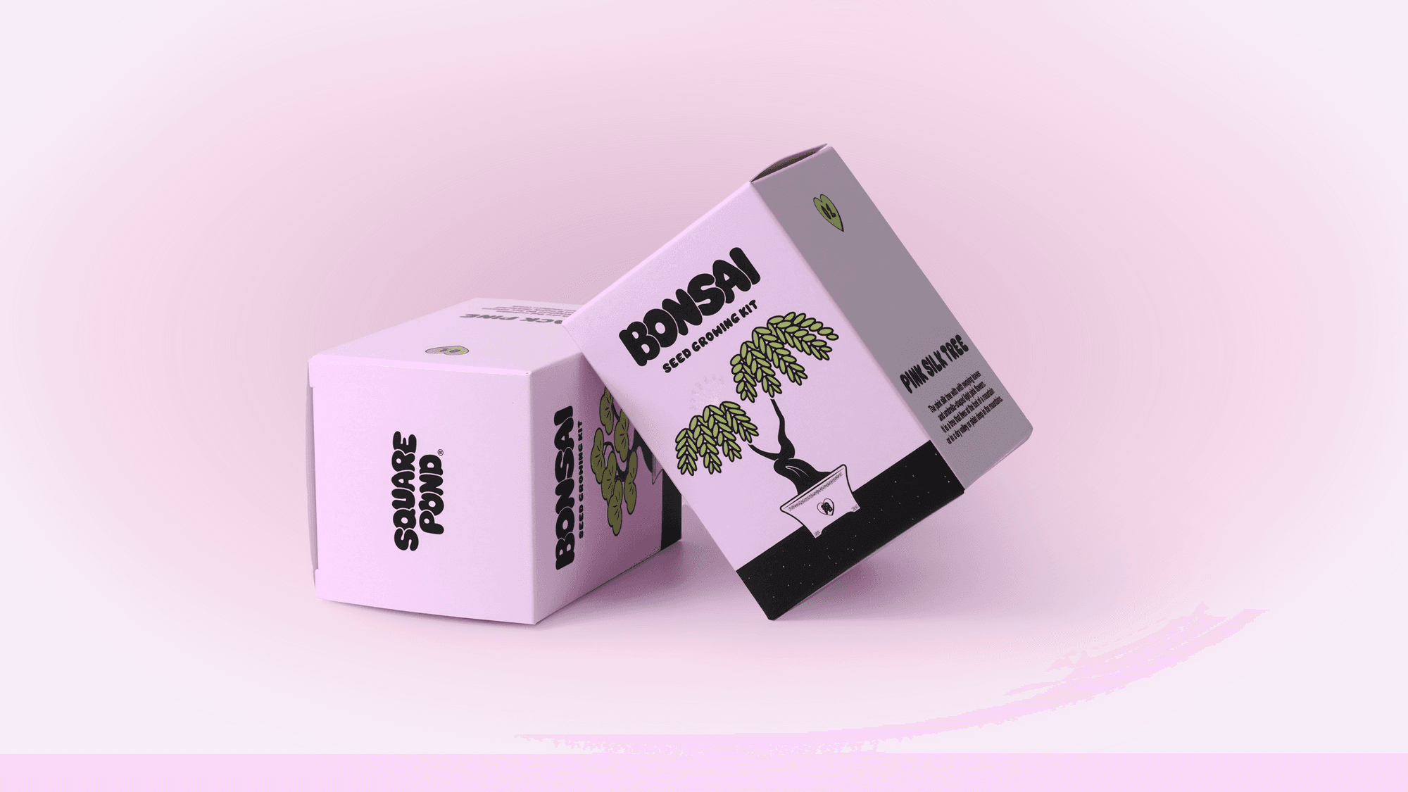 Plant Packaging Box Prototype Review <Squrepond> Companion Plant Kit Package