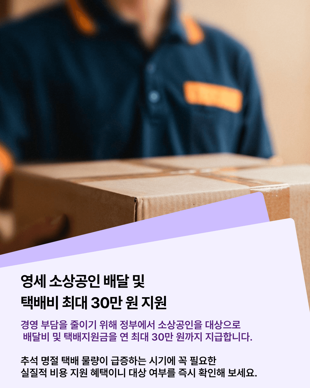 패커티브 추석 성수기 전에 정부 지원사업부터 확인해야 하는 이유