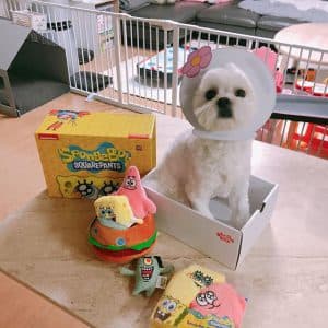버에컨 박스 언박싱